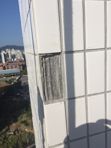建築物磁磚檢測、修繕 Building Tile Inspection and Repair