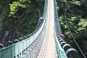 橋梁、吊橋檢修