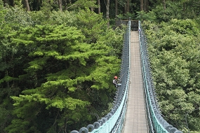 橋梁、吊橋檢修