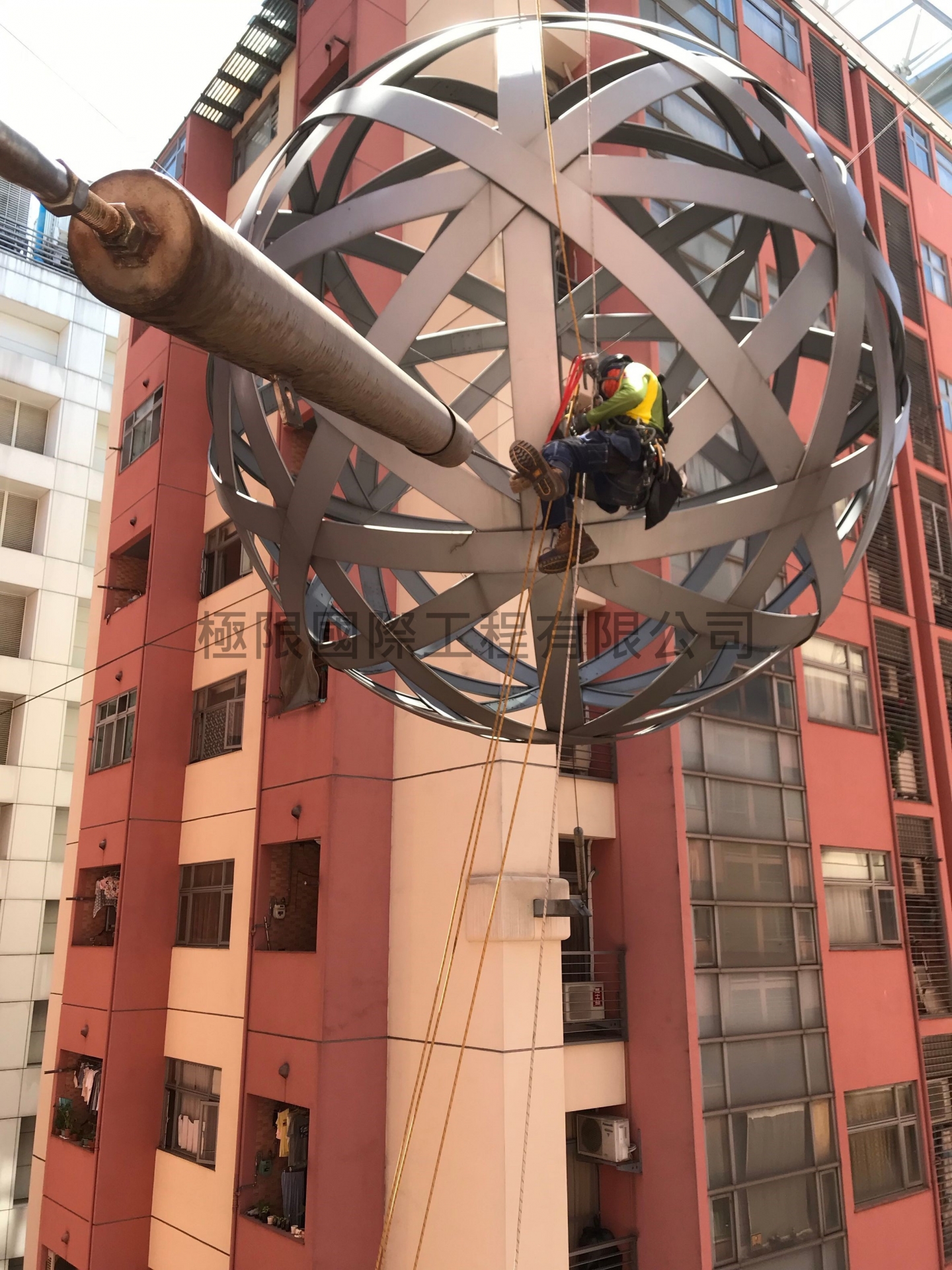 新北市漢皇SUPER鳥巢移除