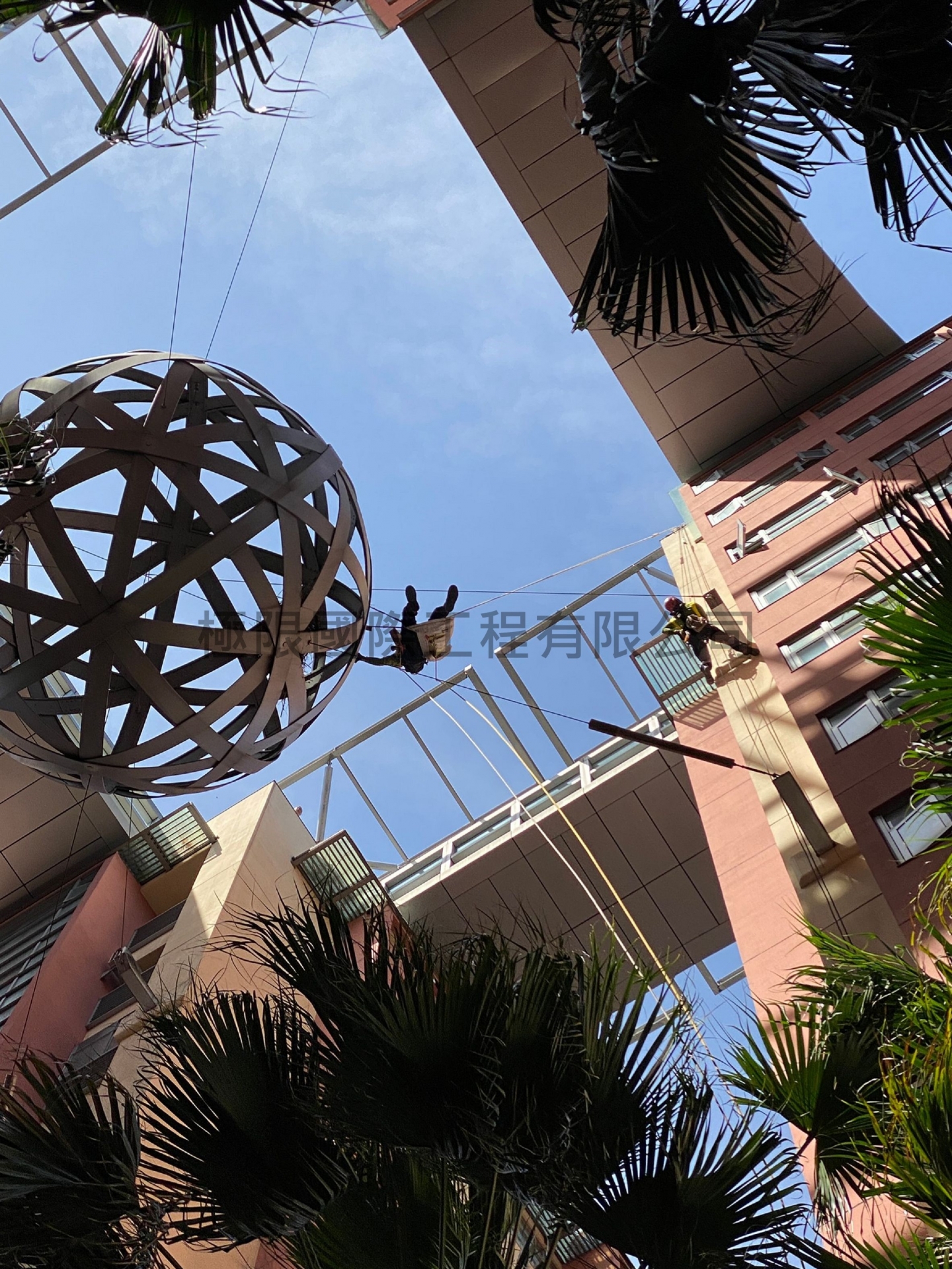 新北市漢皇SUPER鳥巢移除