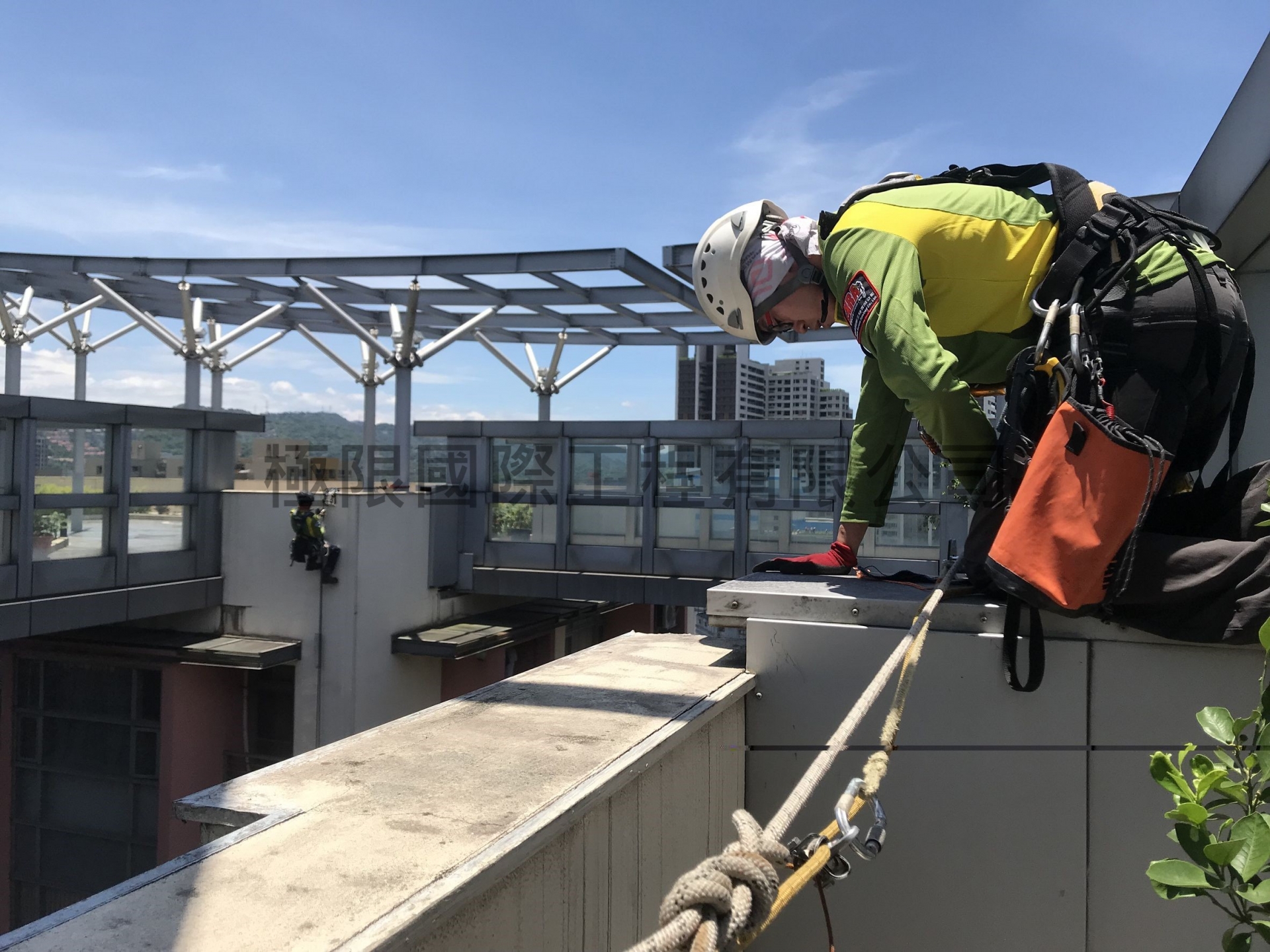 新北市漢皇SUPER鳥巢移除