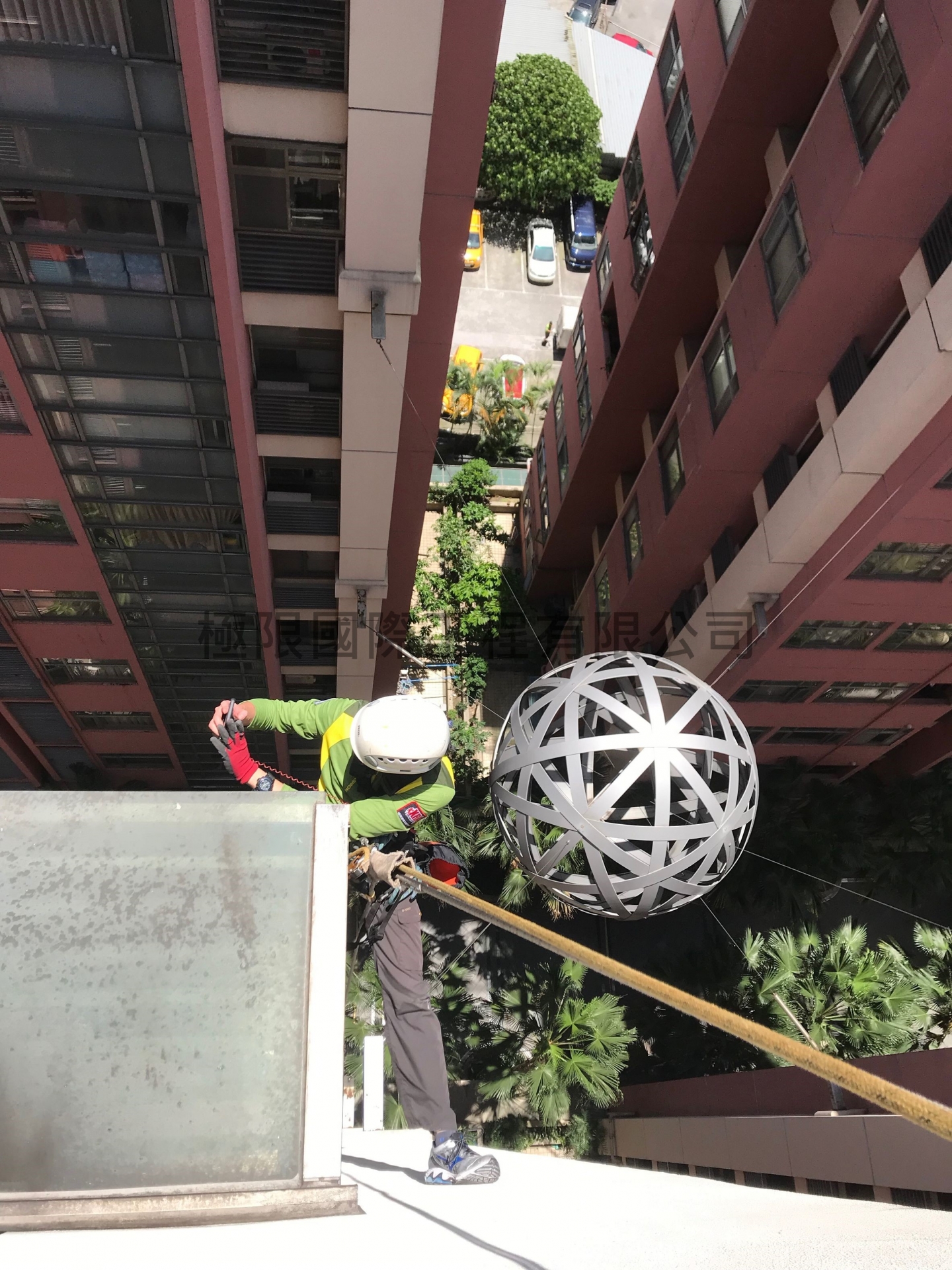 新北市漢皇SUPER鳥巢移除