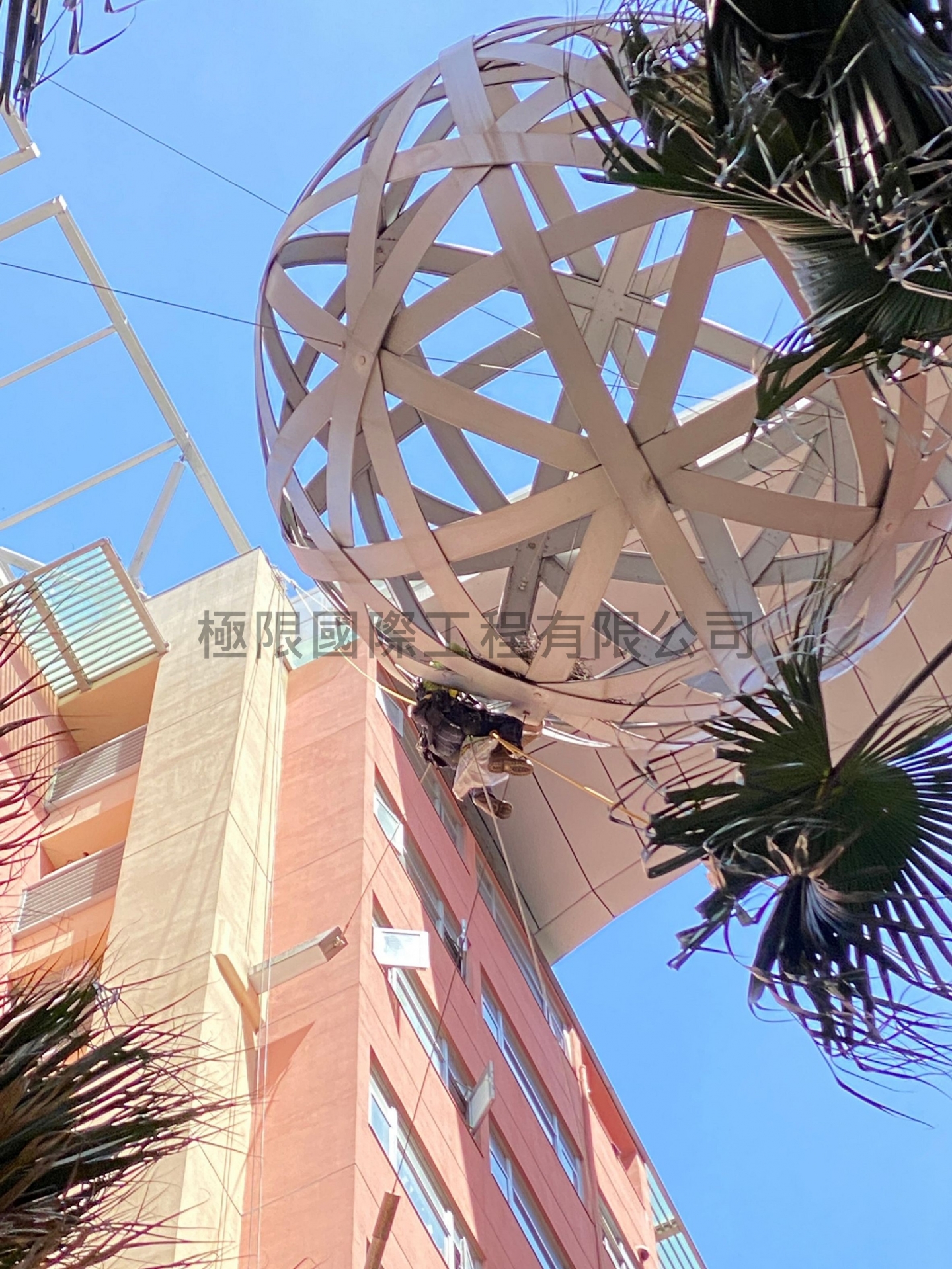 新北市漢皇SUPER鳥巢移除