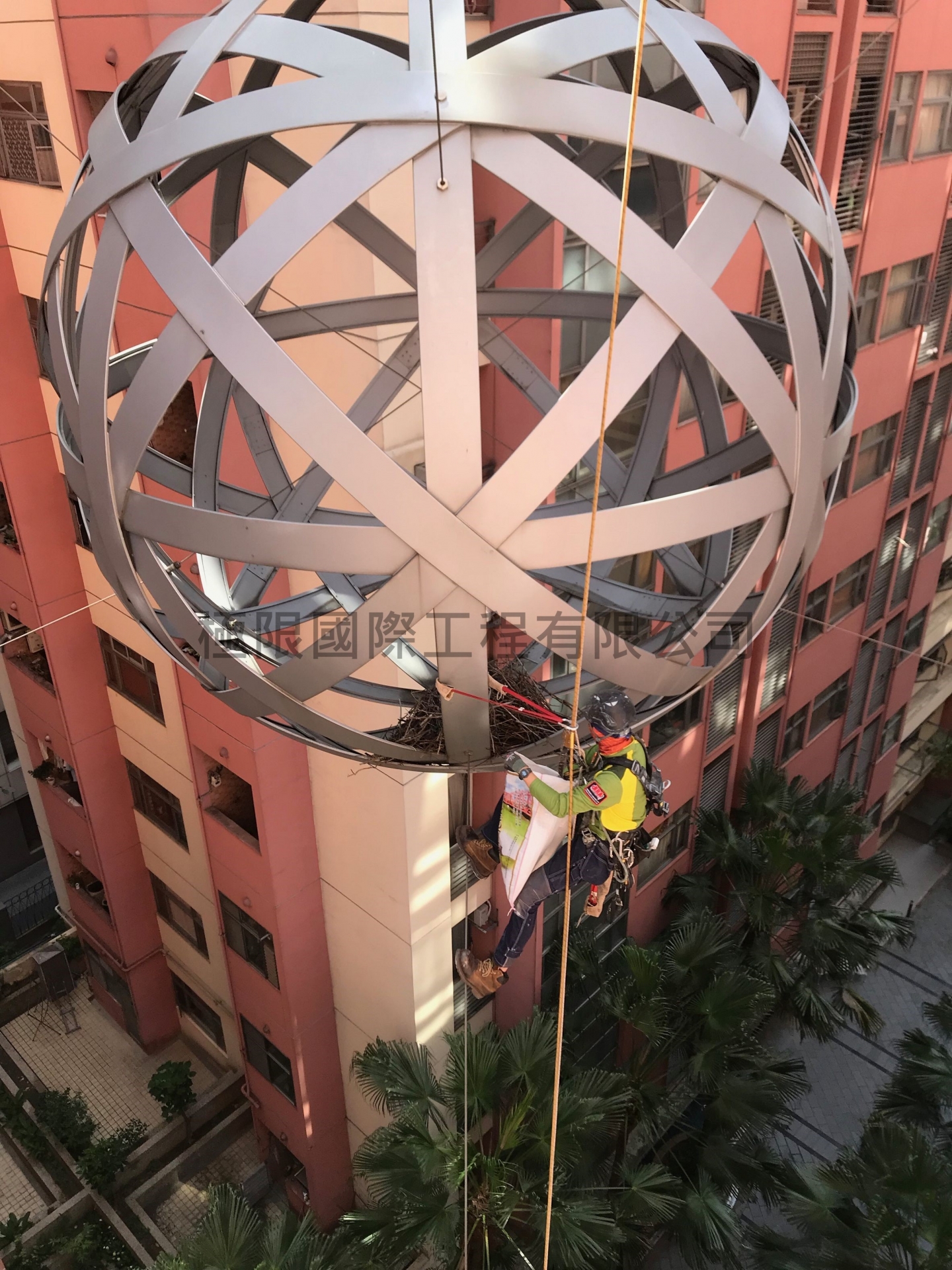 新北市漢皇SUPER鳥巢移除