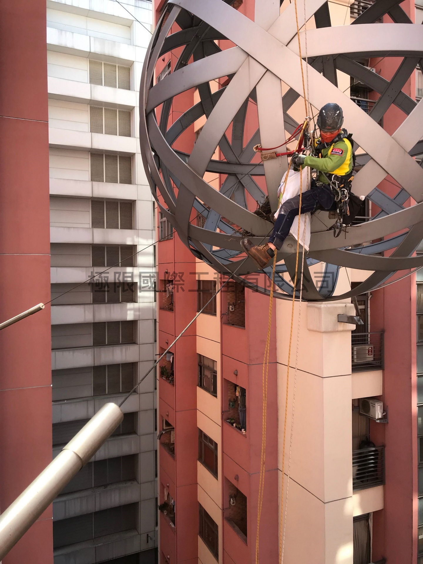 新北市漢皇SUPER鳥巢移除