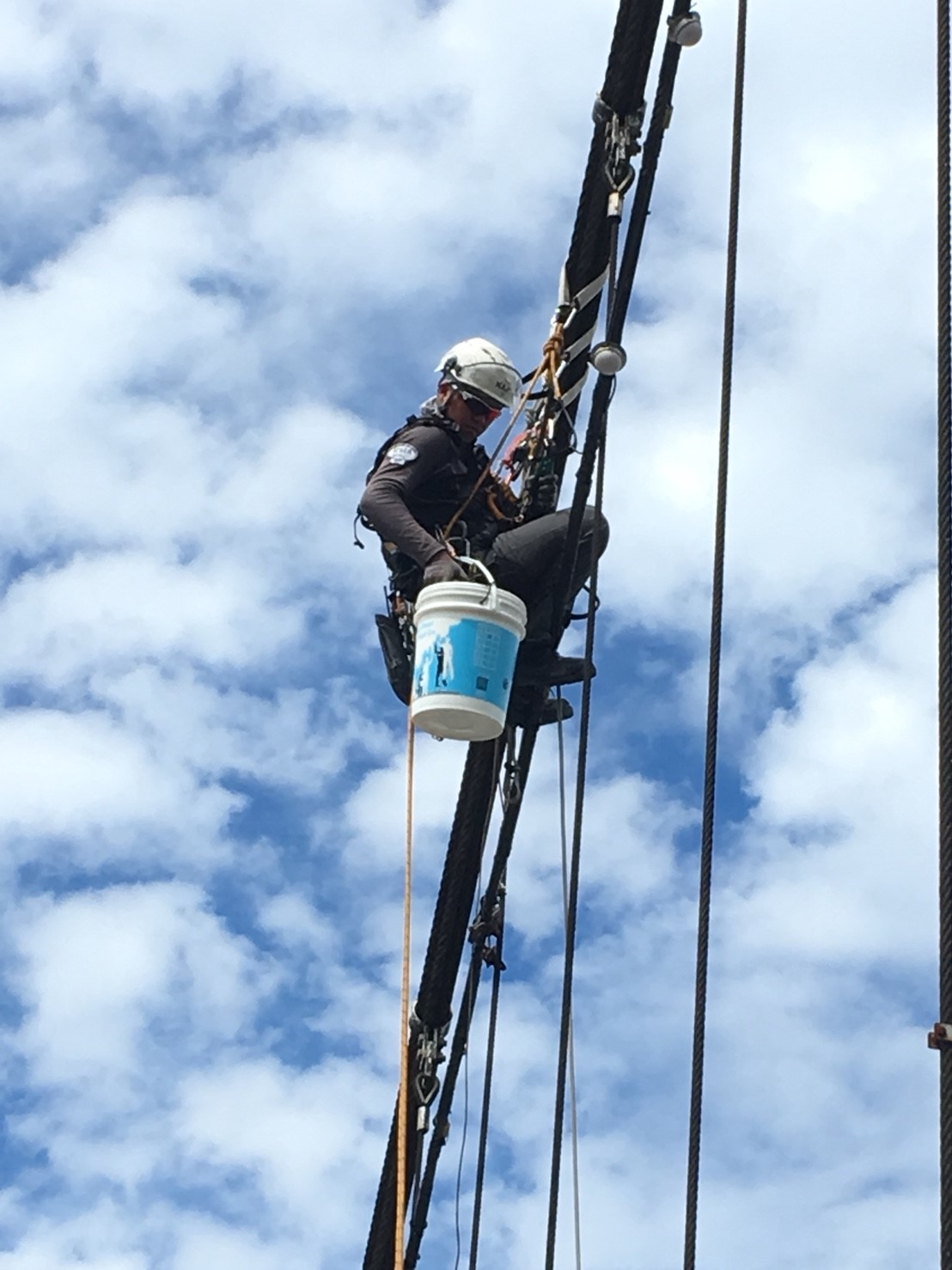 新北市碧潭吊橋燈飾光源安裝