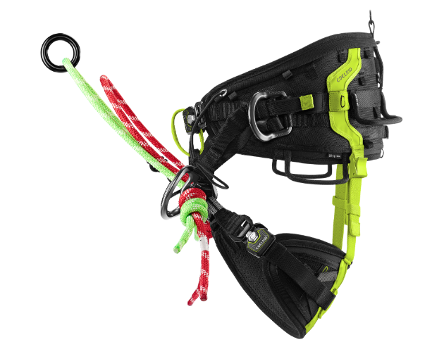 TREEREX II 