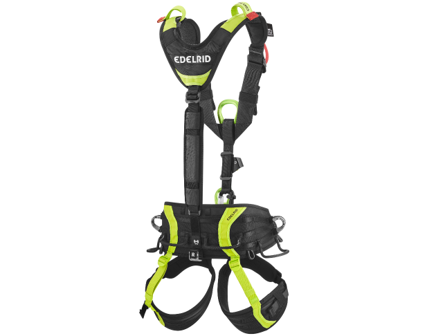VECTOR Y
