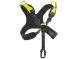 VECTOR CHEST X