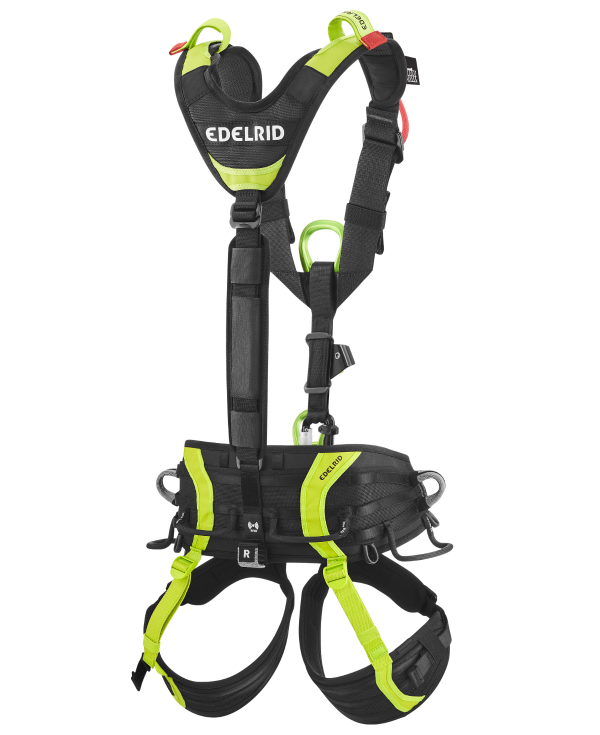VECTOR Y